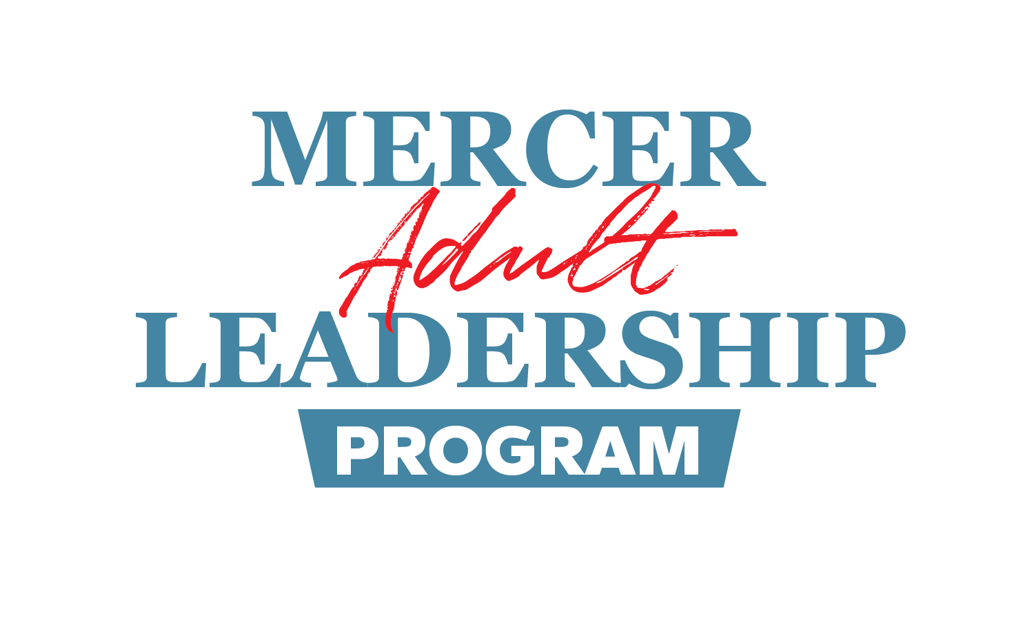 mercer-adult-ledership-FPO